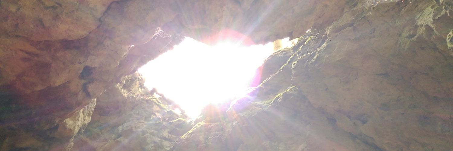 LehnerW's profile banner image