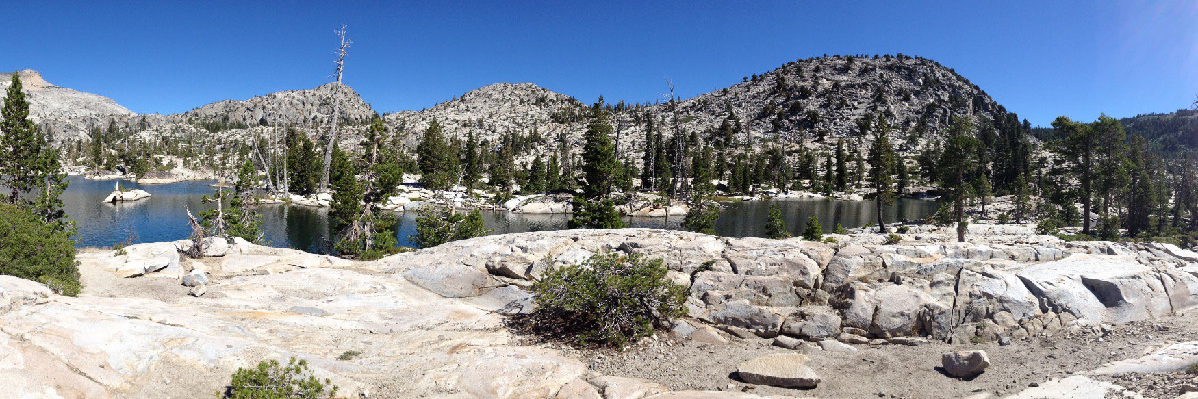 Sarah Batterman banner