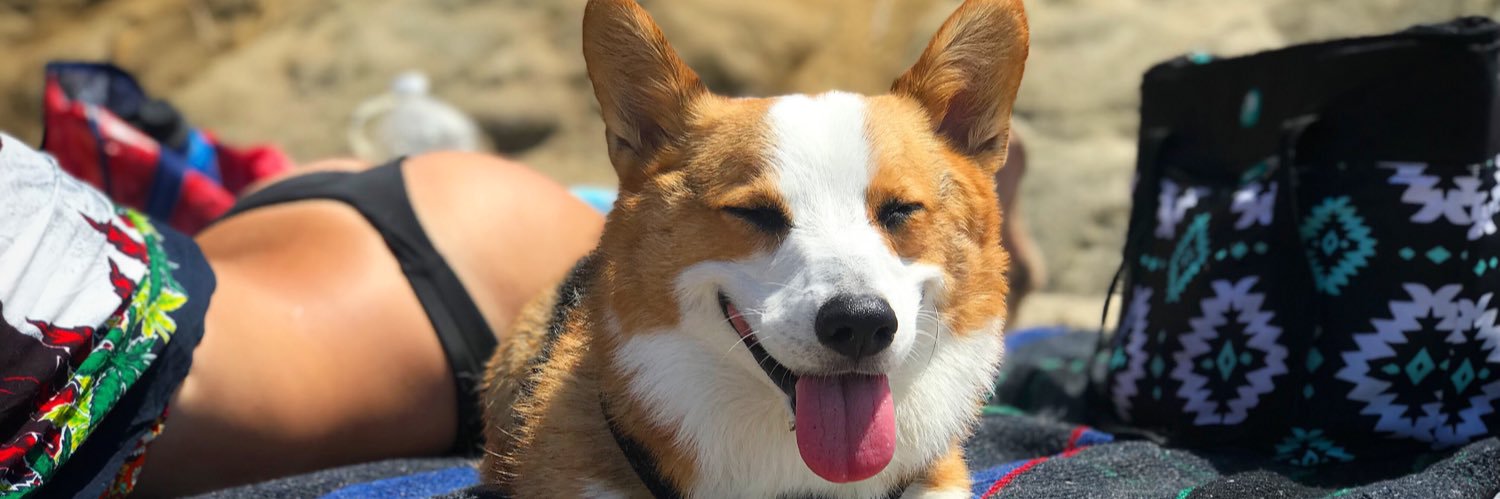 GoldenMs_Rae's profile banner image