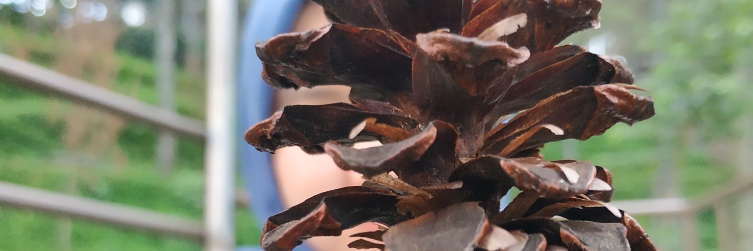 Ernitri31's profile banner image