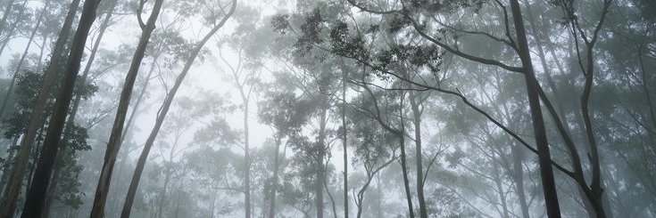 segarxn's profile banner image