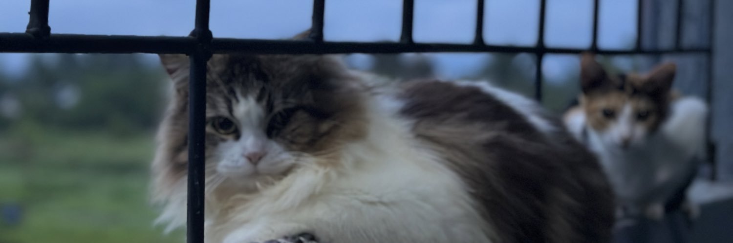 clivoonxrey's profile banner image