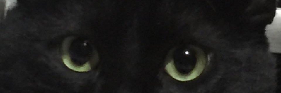 Charo_5MD's profile banner image