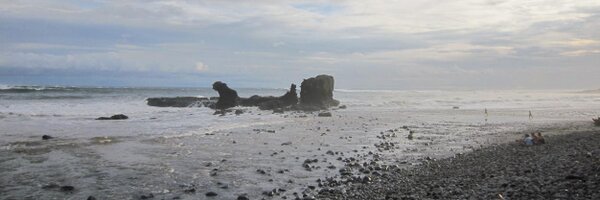 thepug Profile Banner