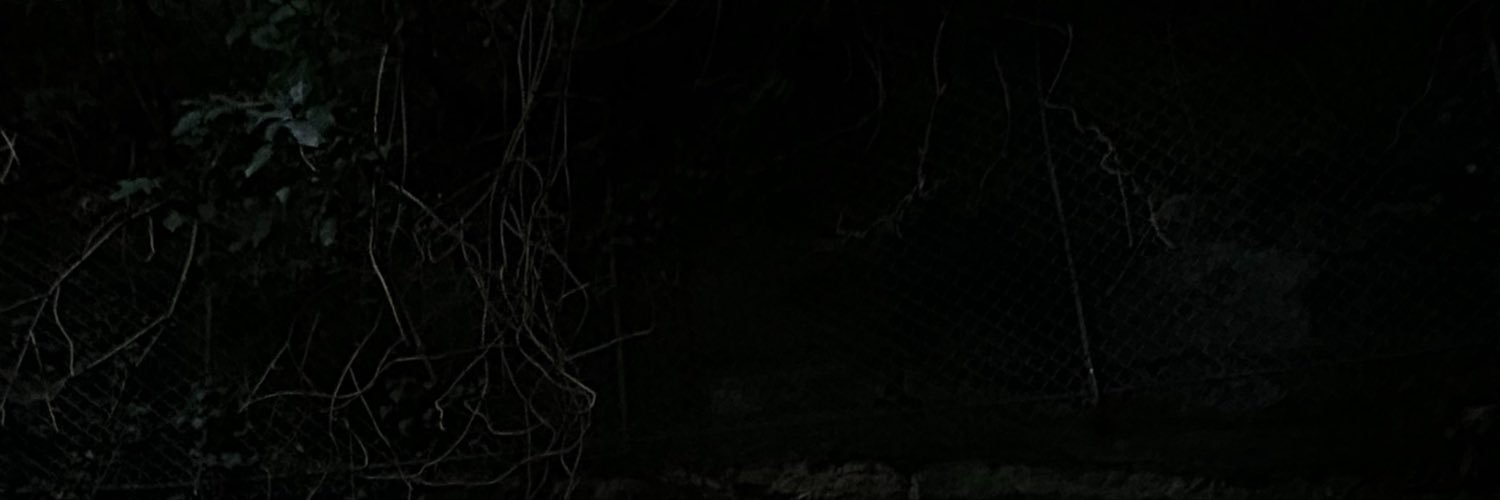 EMBA_SVBH's profile banner image