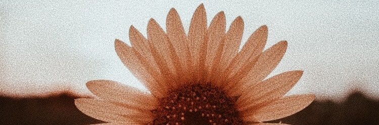 rosmcc24's profile banner image