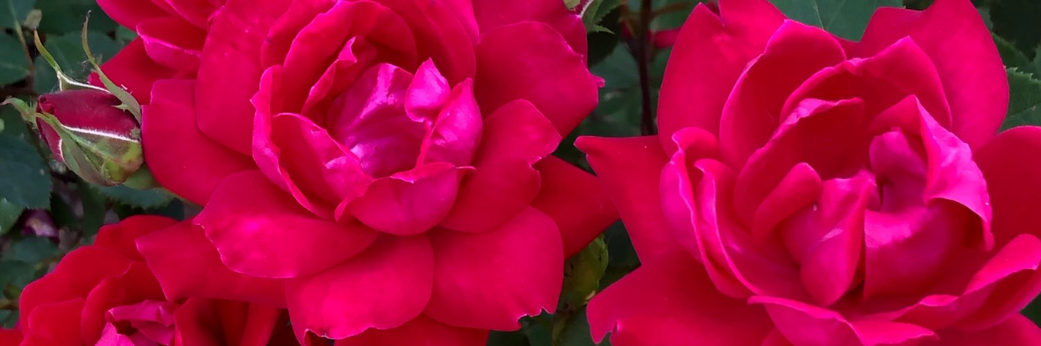 jwat1948's profile banner image