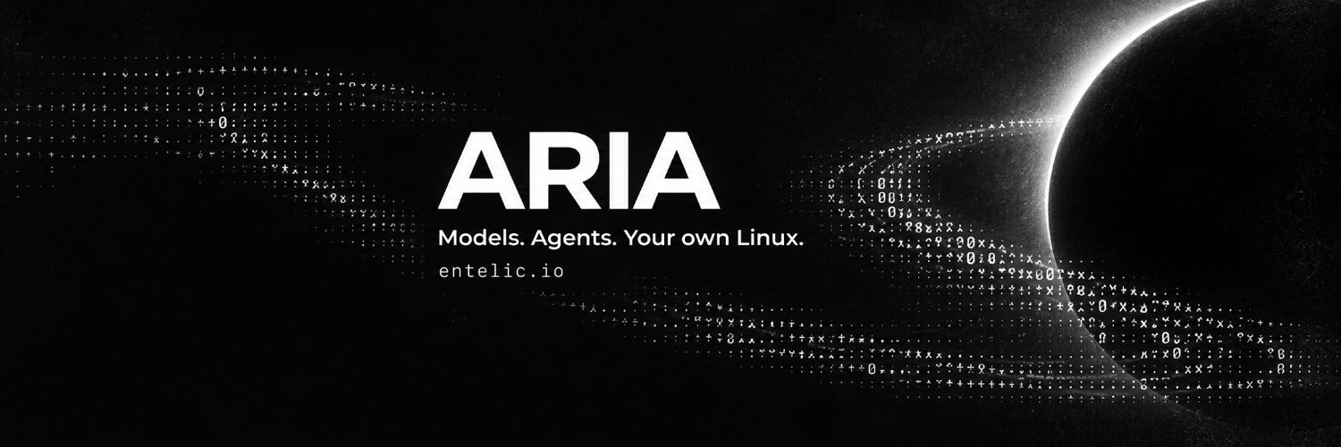 Entelic_Aria's profile banner image