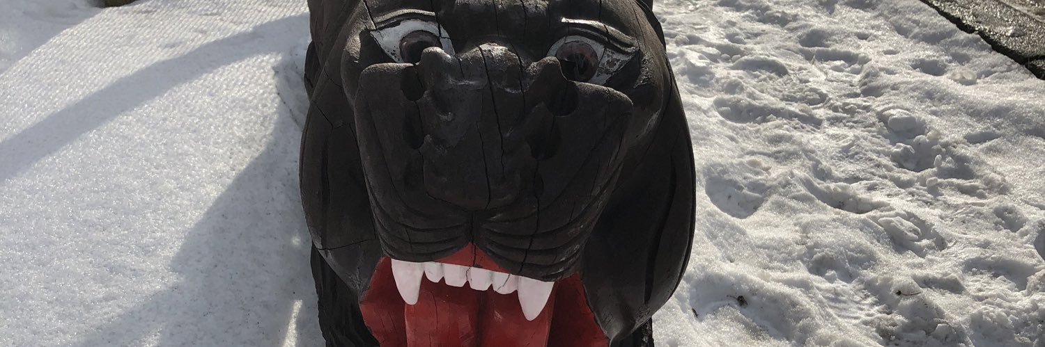 RDcz8's profile banner image