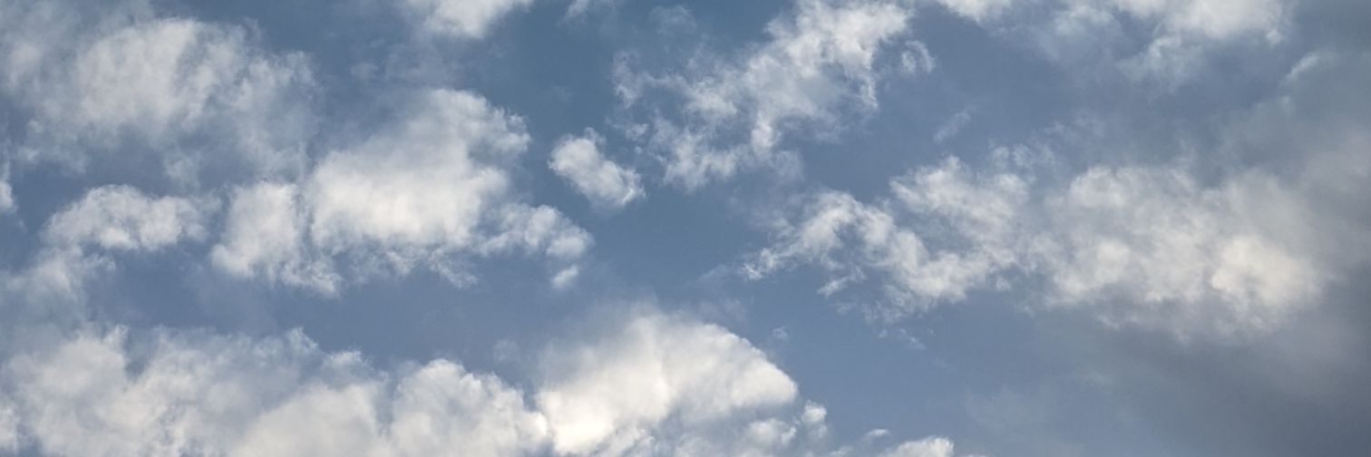 dreetz19's profile banner image