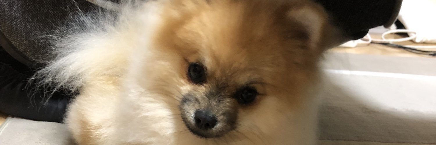 gen_star315's profile banner image