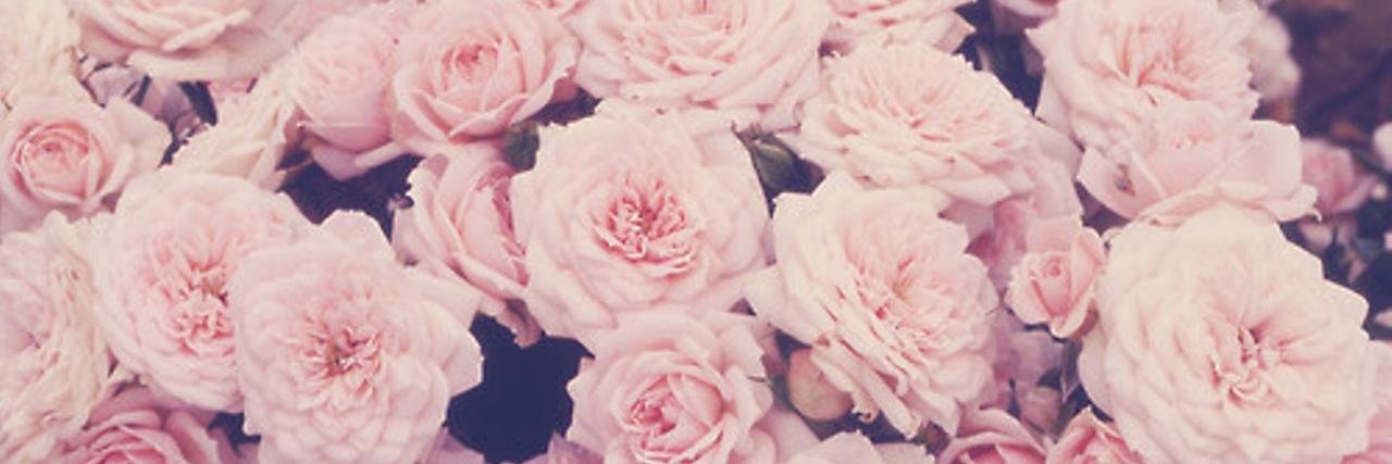 lolo101520's profile banner image