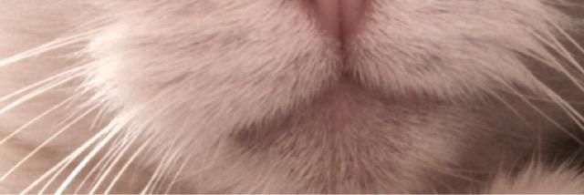 elwka's profile banner image