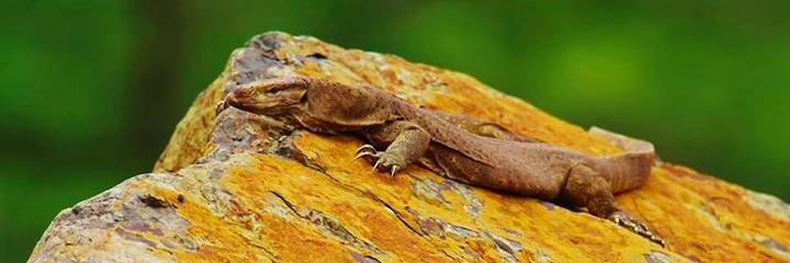 indrajitghorpad's profile banner image
