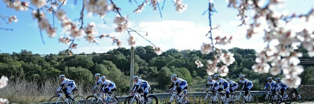 Real Velo 👀 banner