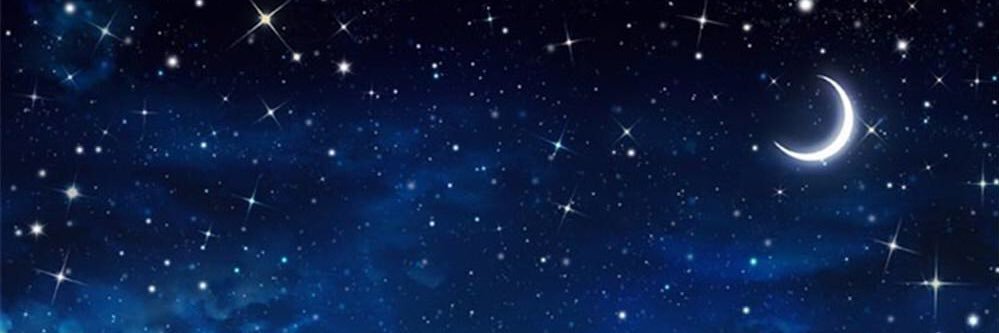 LiuPIZZA's profile banner image