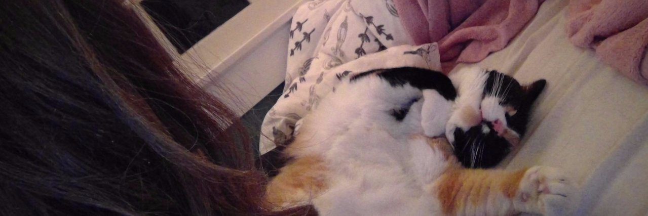 Soph ⚔️ The Mothsmith banner