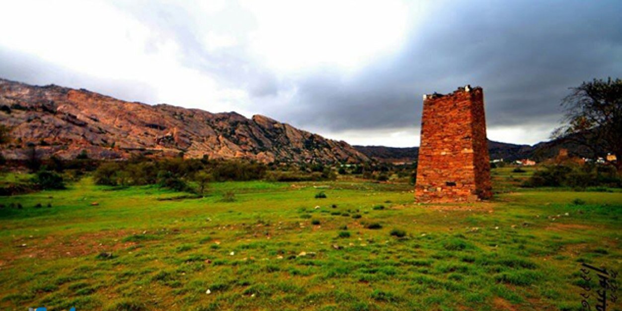 ZooM 🇸🇦 banner