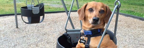 weekbeforenext Profile Banner