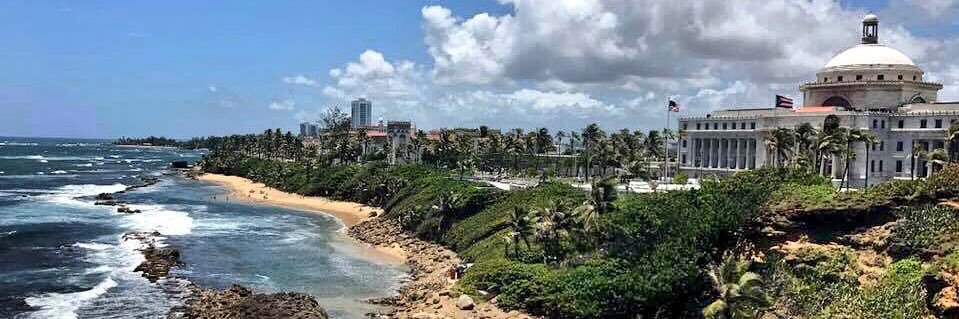 Kelly Alexandria ✨ banner