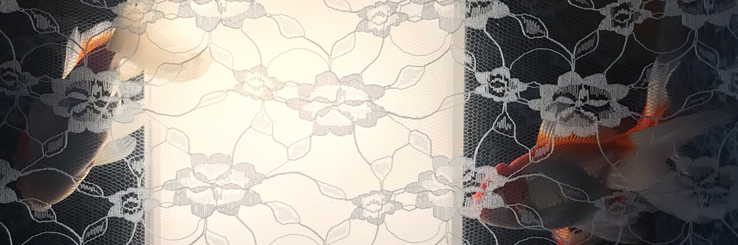 yum__72's profile banner image