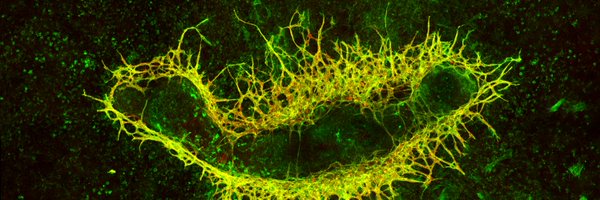 VesselDynamics Profile Banner