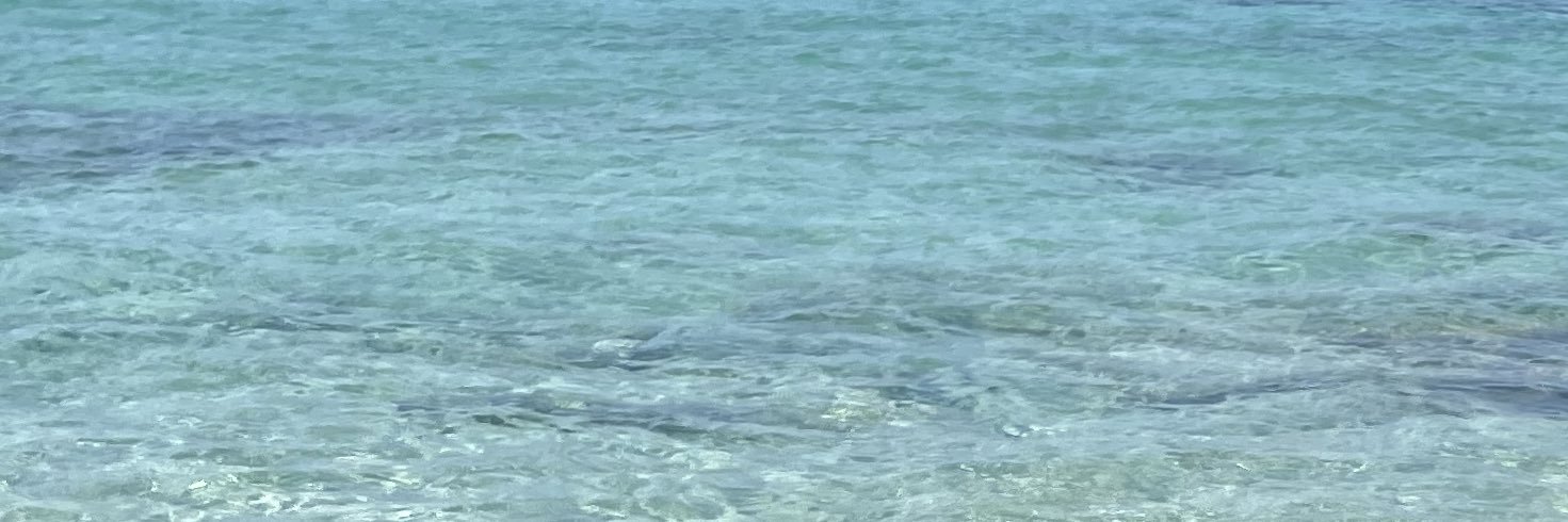 clea_rbt9's profile banner image