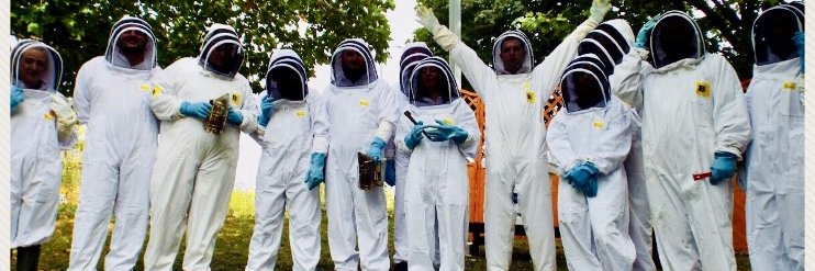 Plan Bee Ltd banner