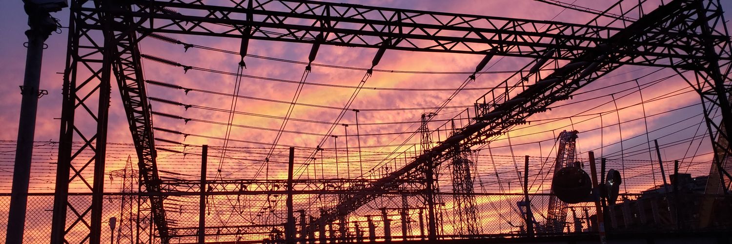 フリーザ／羽音 banner