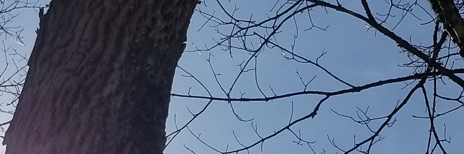 skywhybye's profile banner image