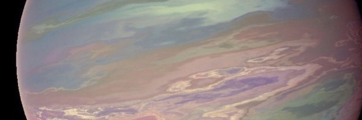 maldcatz's profile banner image