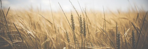 RoelClement Profile Banner