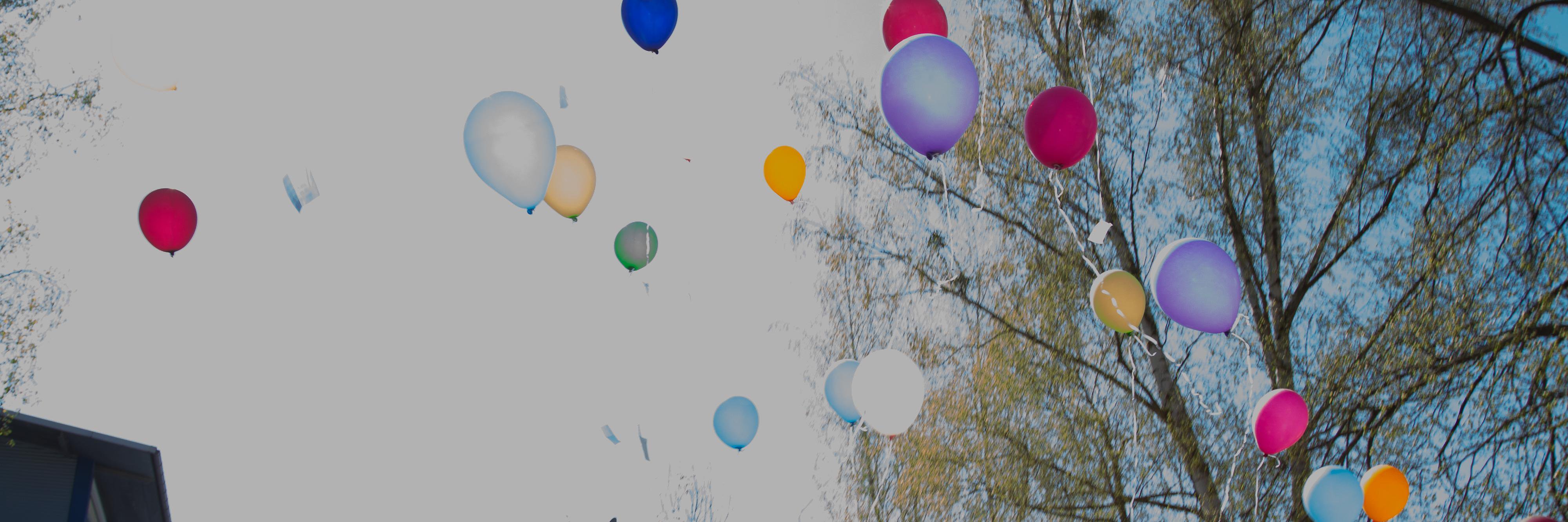 Beat_ice_'s profile banner image