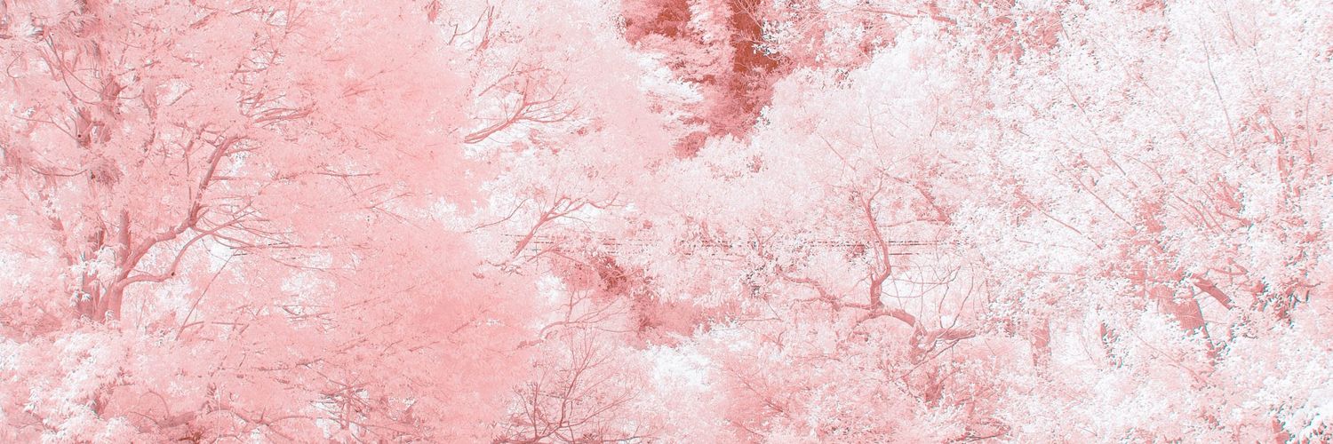 Pinkiebelle07's profile banner image