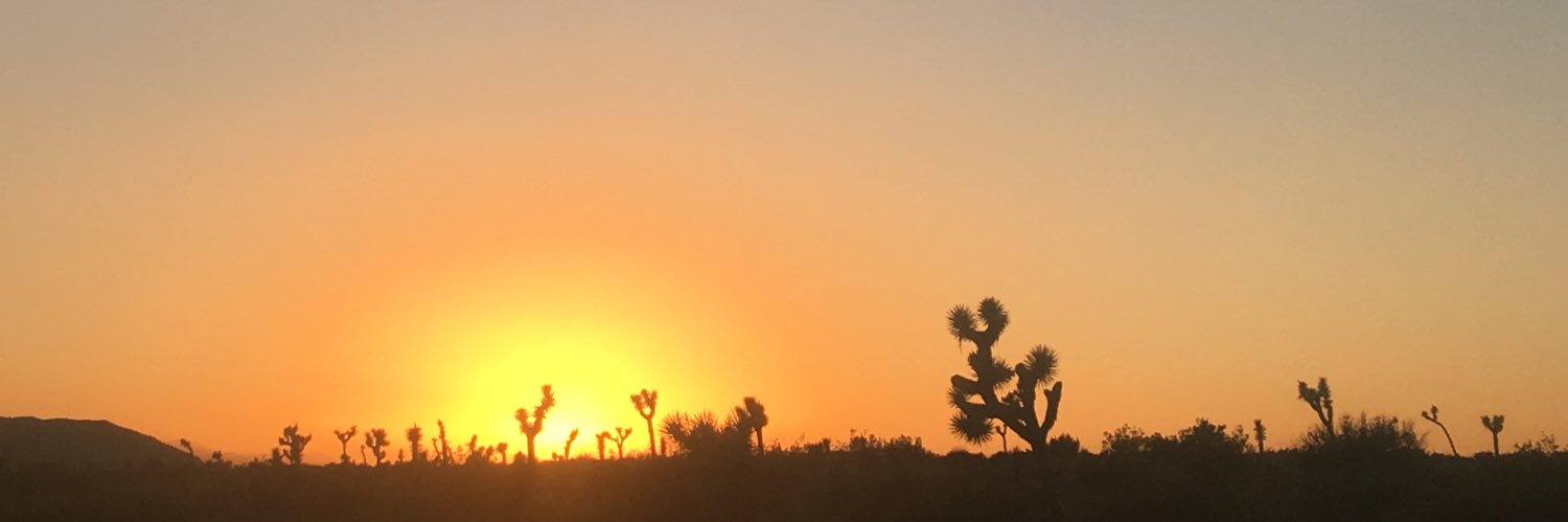 drstonez's profile banner image