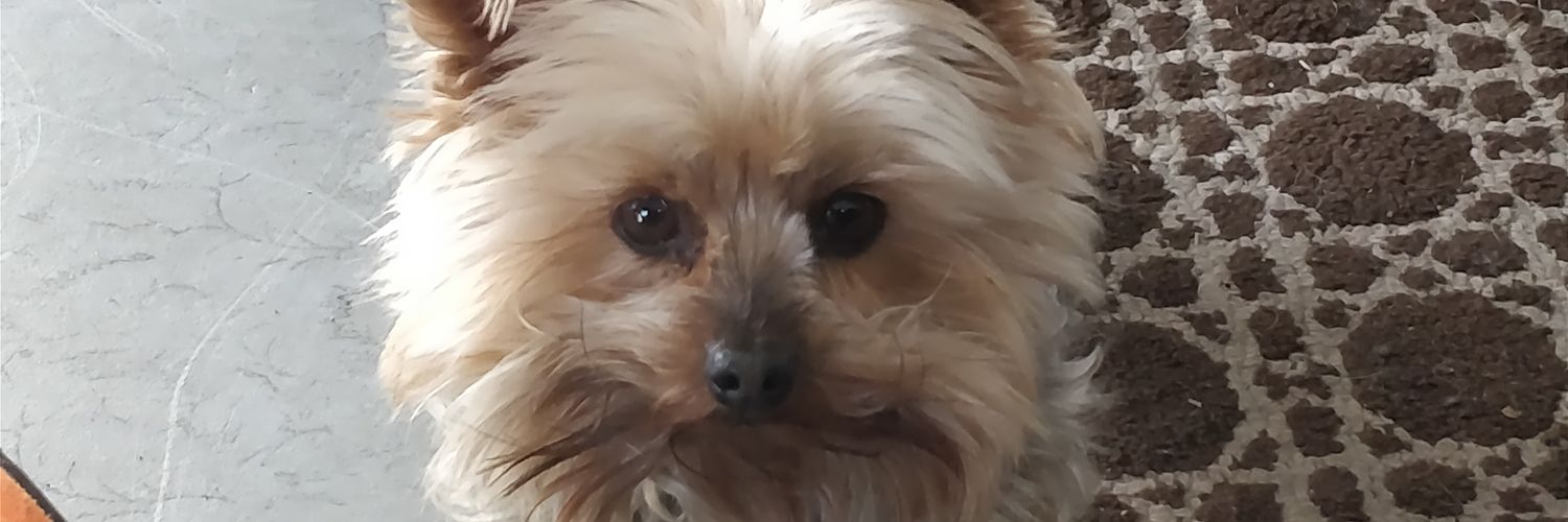 ArtandTigger's profile banner image