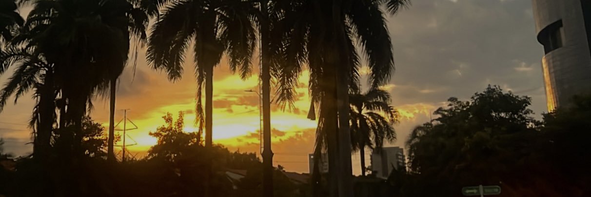mpass29's profile banner image