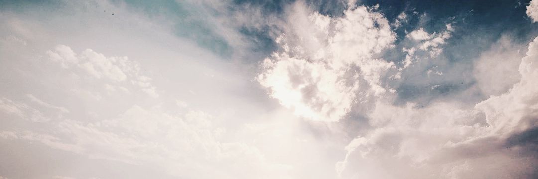 활 𝑯𝒘𝒂𝒍 banner