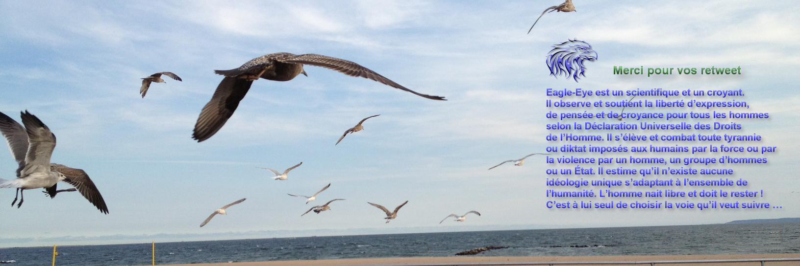 Eagle__Eye_'s profile banner image