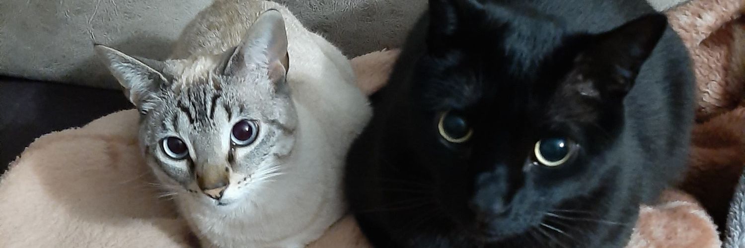 DaniMellow23's profile banner image