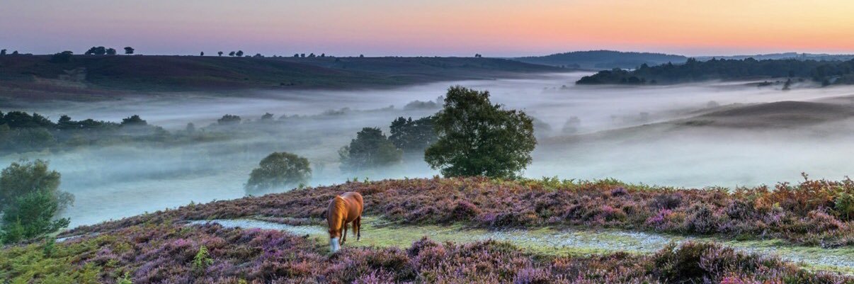 Neil McLocklin banner