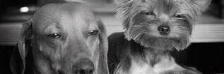 NickWalton68's profile banner image