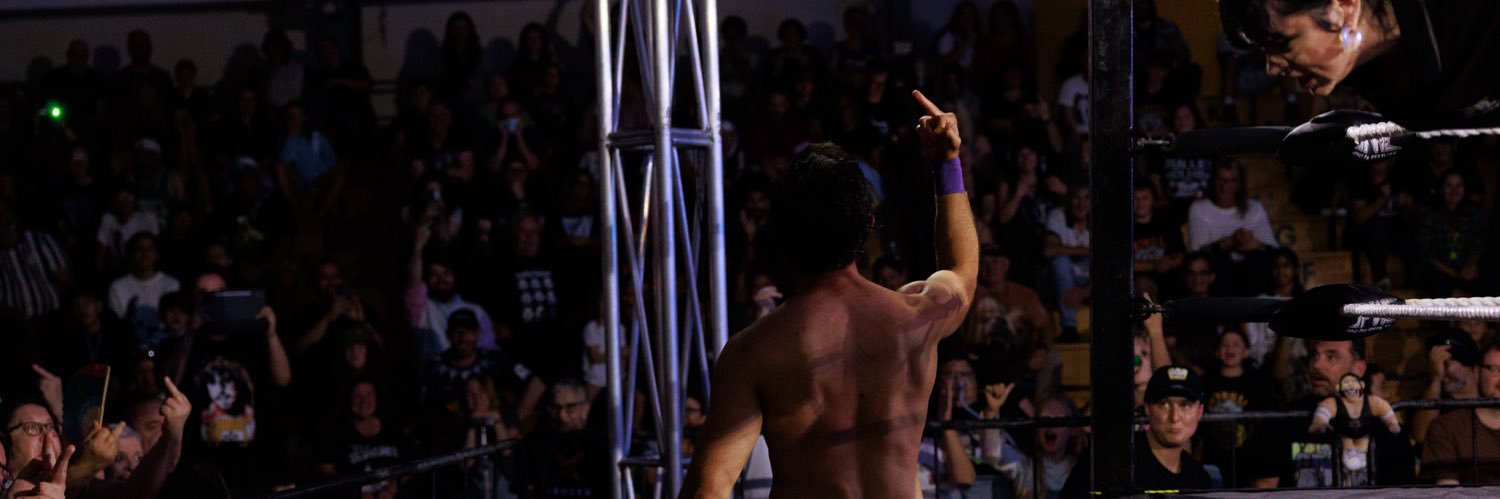 Will Stone banner