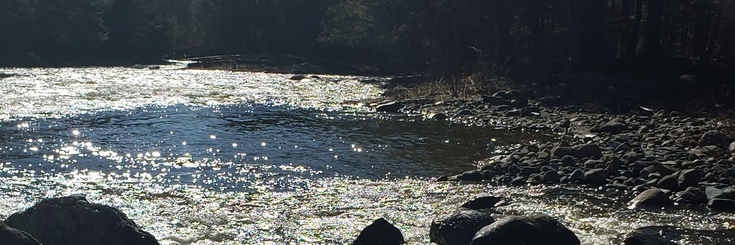 cboula91's profile banner image