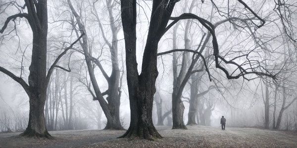ZombieFan_F4F's profile banner image