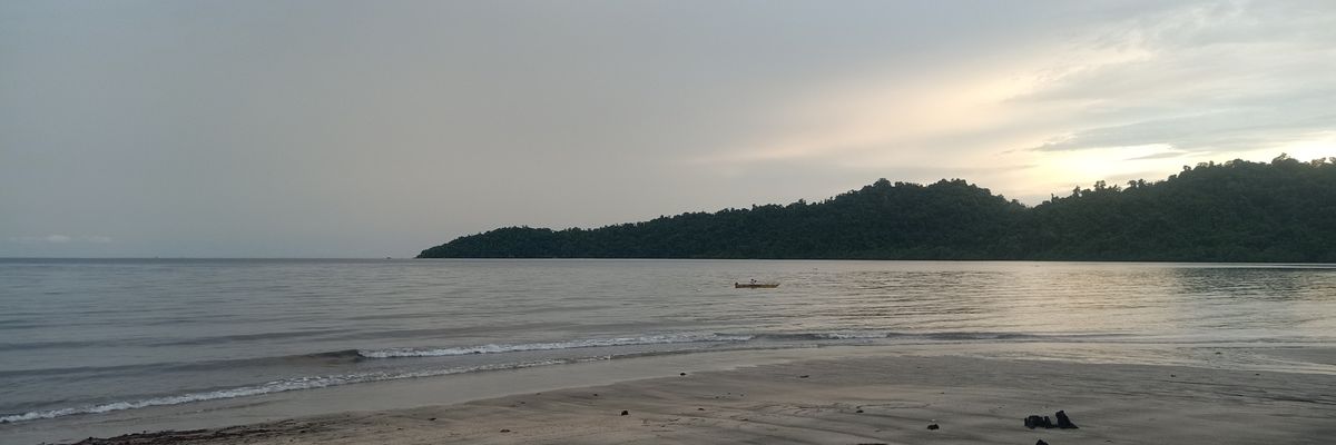 pass1Papua's profile banner image