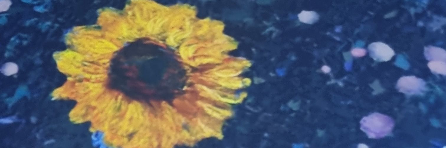 MegaleMah's profile banner image