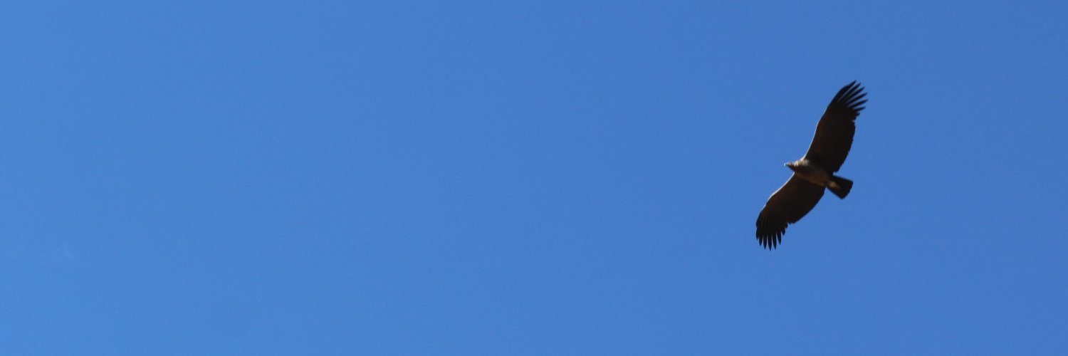 JJKrogh's profile banner image