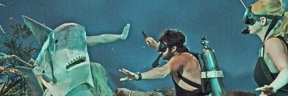 Elizabeth Flux banner