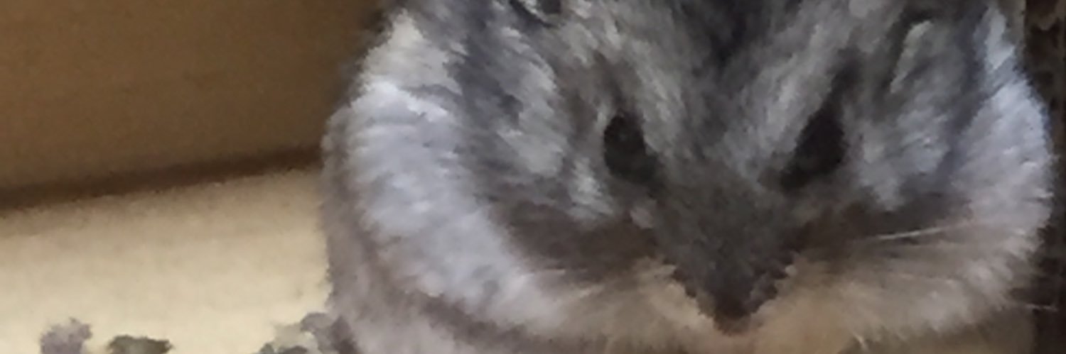 蒼　取引垢 banner